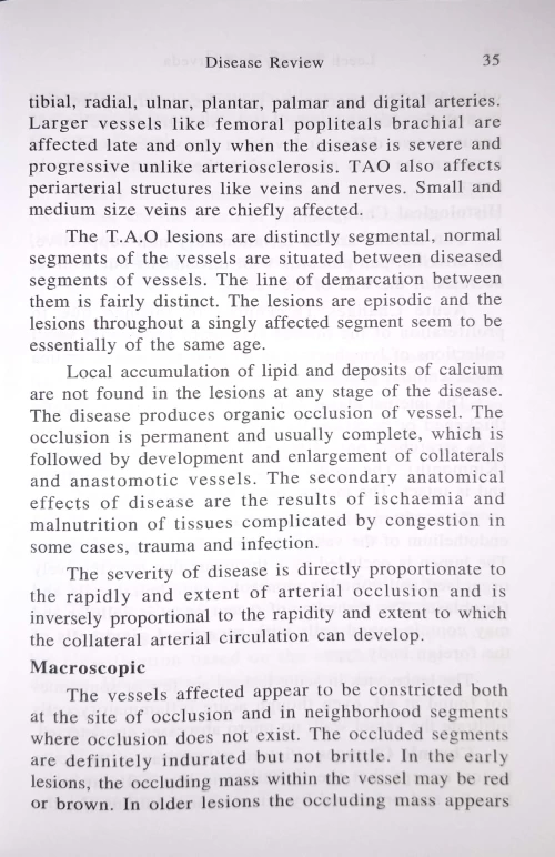 Leech Therapy in Ayurveda